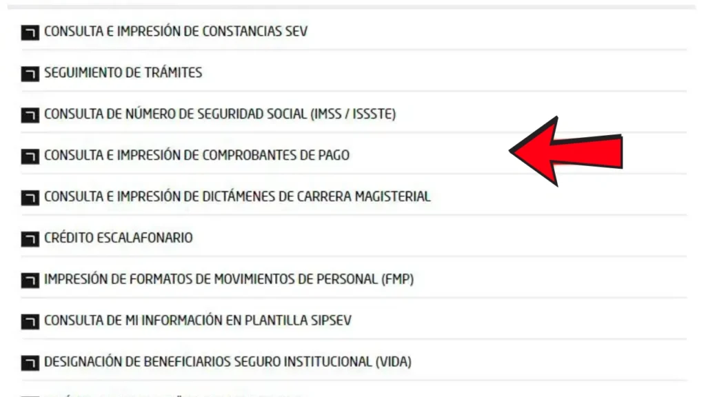 talones de pago sev