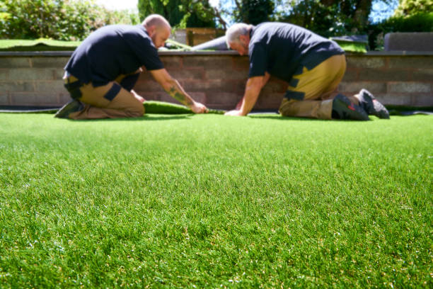 What Sets Perth Turf Suppliers Apart When Choosing Buffalo Grass?